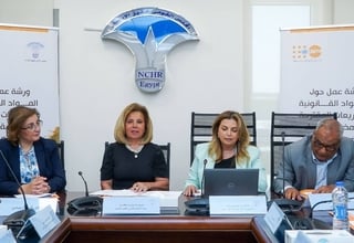  The workshop was chaired by Ambassador Moushira Khattab, with the participation of representatives from different entities.