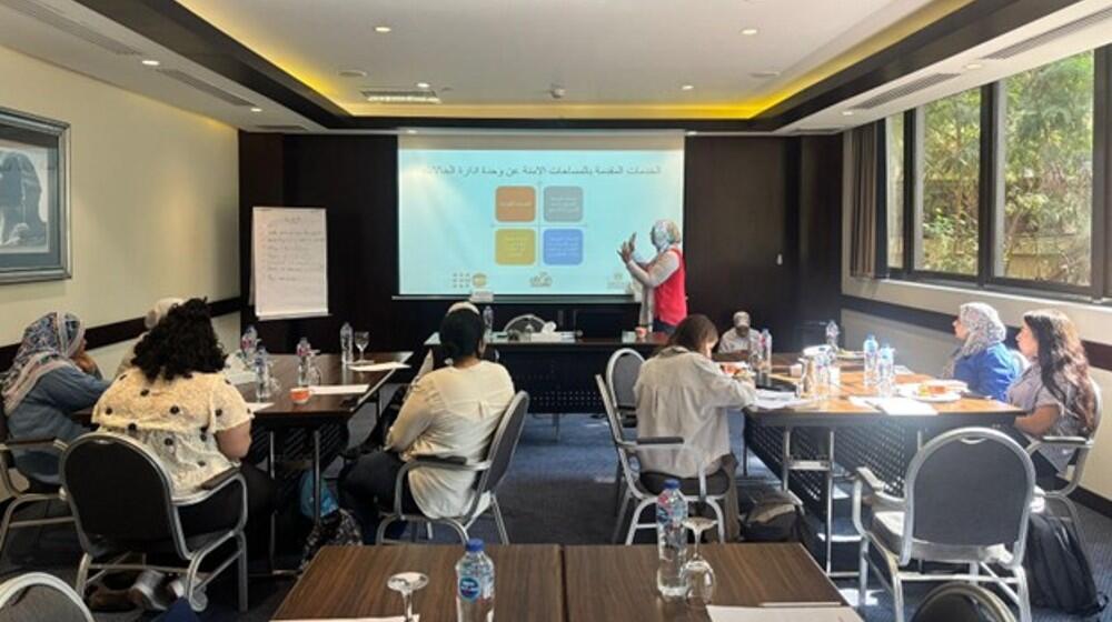 Three workshops were held in Cairo and Aswan.