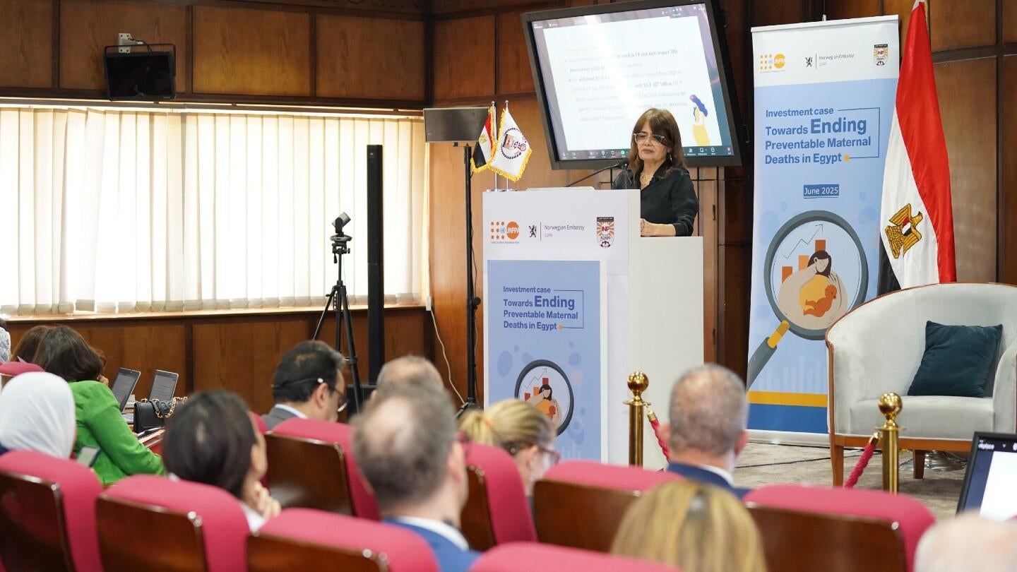 The Institute of National Planning and UNFPA Egypt launched an investment case.