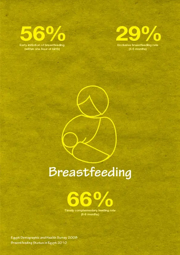 Breastfeeding. Demographic Household Survey Brochures