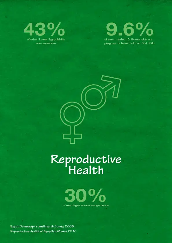 Reproductive Health. Demographic Household Survey Brochures