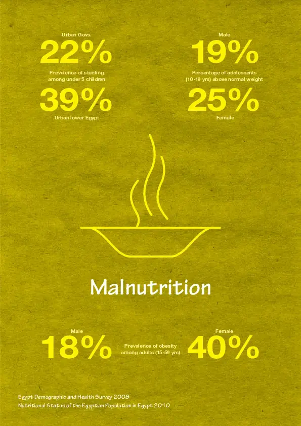 Malnutrition. Demographic Household Survey Brochures